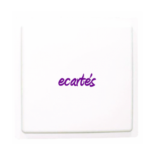 RAIN RFID INTEGRATED READER (12dBi)